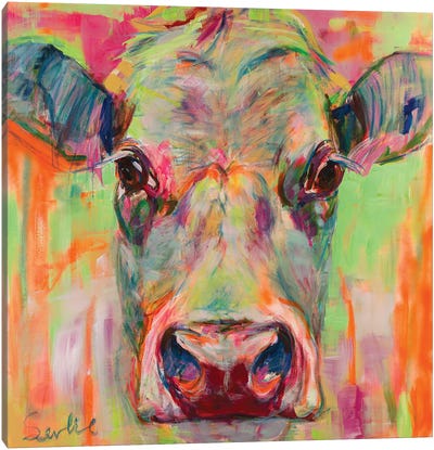 Cow Portrait XII Canvas Art Print - Liesbeth Serlie