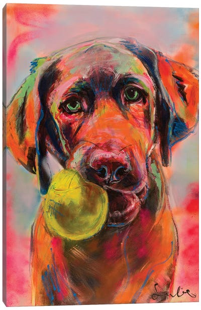Labrador Portrait Canvas Art Print - Liesbeth Serlie