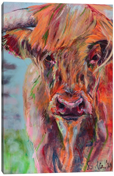 Scottish Highlander Canvas Art Print - Cow Art