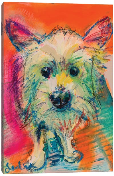 West Highland Terriër Canvas Art Print - West Highland White Terrier Art