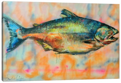 Wild Salmon Canvas Art Print - Liesbeth Serlie