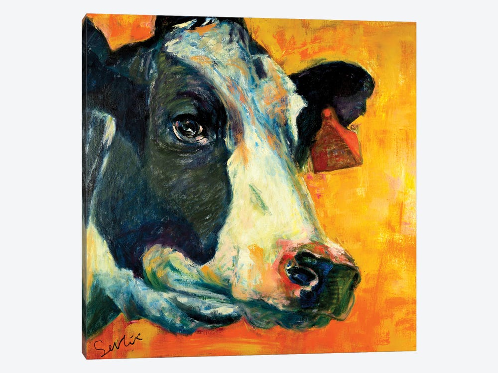 Cow Portrait VI by Liesbeth Serlie 1-piece Art Print