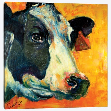 Cow Portrait VI Canvas Print #LSR27} by Liesbeth Serlie Canvas Art