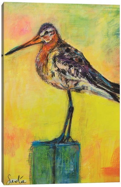 Black Tailed Godwit Canvas Art Print - Liesbeth Serlie