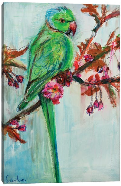 Rose-Ringed Parakeet Canvas Art Print - Liesbeth Serlie