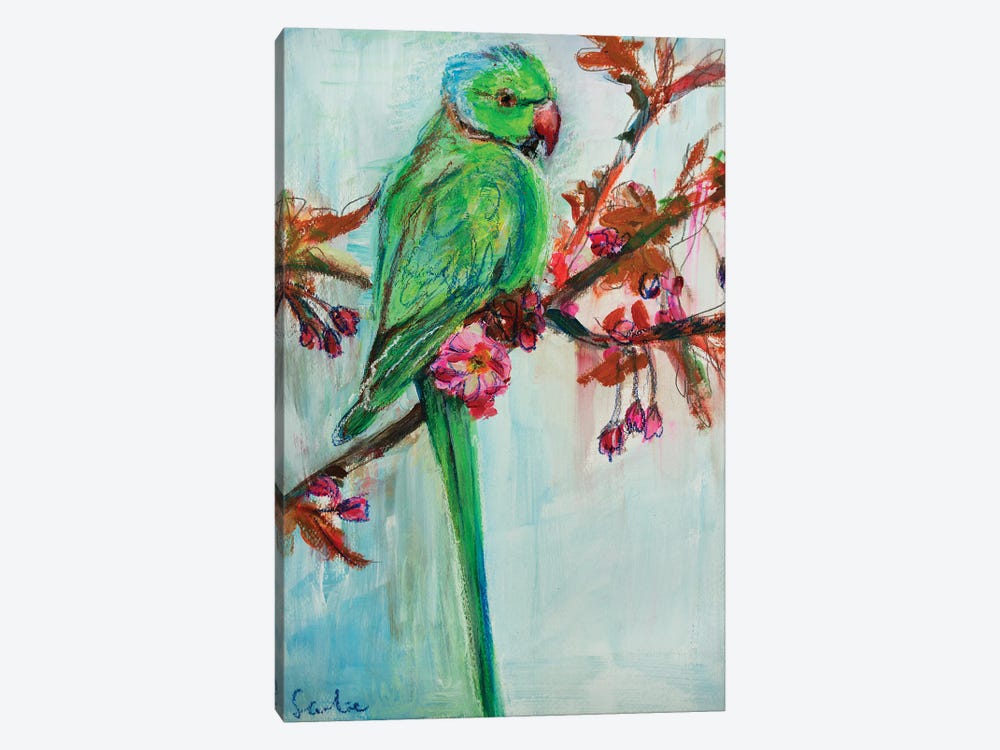 Rose-Ringed Parakeet by Liesbeth Serlie 1-piece Canvas Wall Art