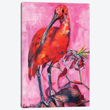 Scarlet Ibis Canvas Print #LSR38} by Liesbeth Serlie Canvas Art