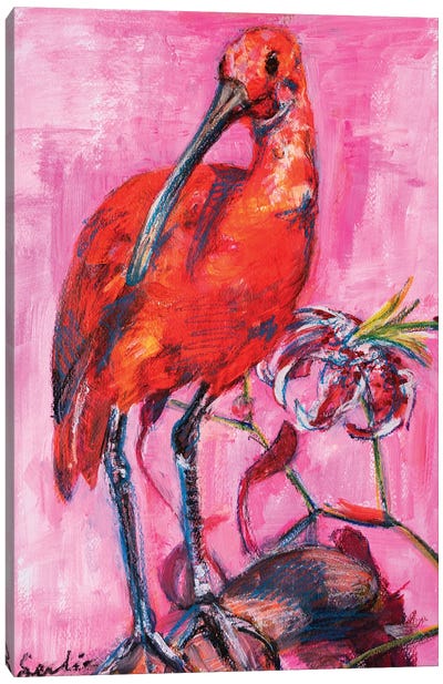 Scarlet Ibis Canvas Art Print - Liesbeth Serlie