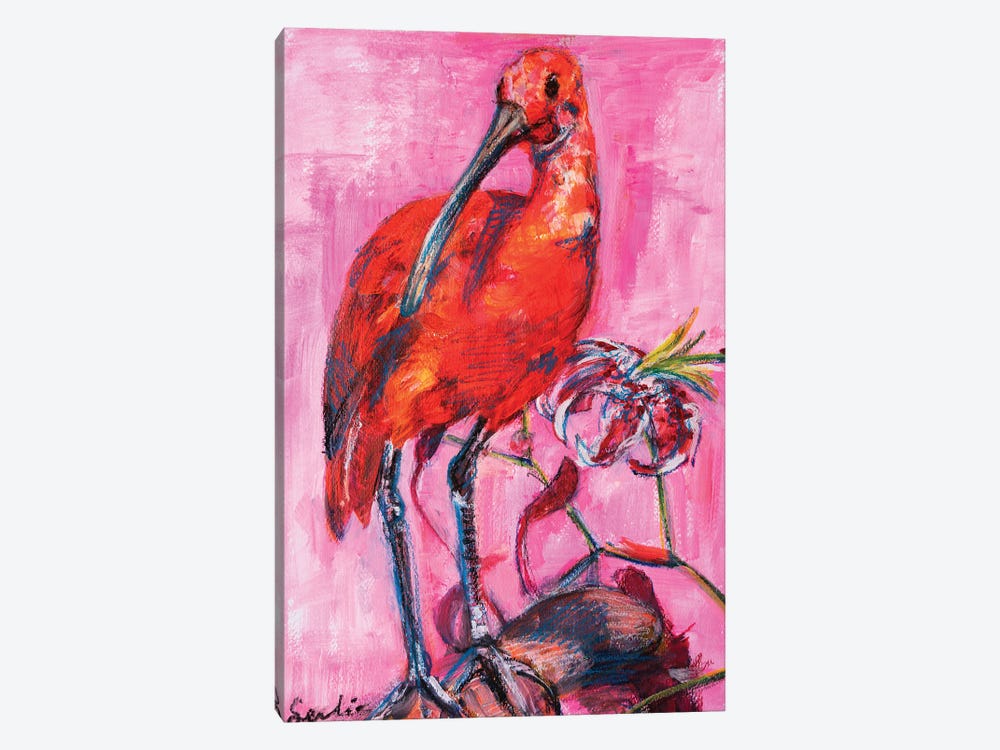 Scarlet Ibis by Liesbeth Serlie 1-piece Canvas Art Print