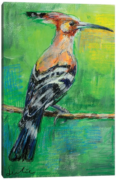 Hop Bird Canvas Art Print - Liesbeth Serlie