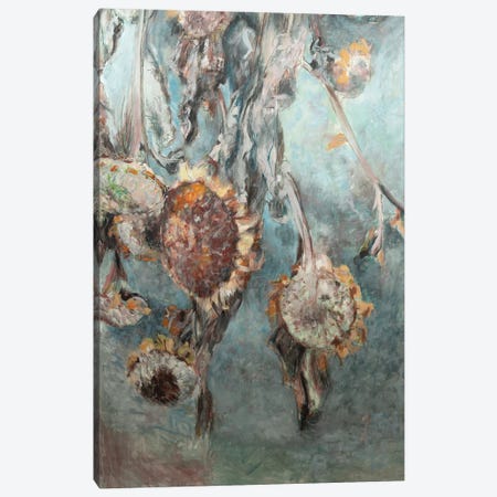 Dried Sunflowers Canvas Print #LSR42} by Liesbeth Serlie Canvas Print