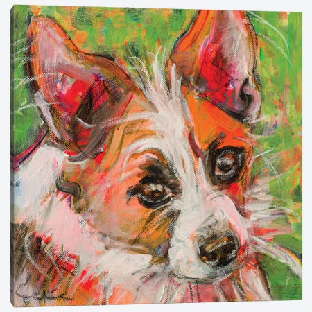 Chihuahua X Jack Russell Portrait Canvas Print #LSR4} by Liesbeth Serlie Canvas Art