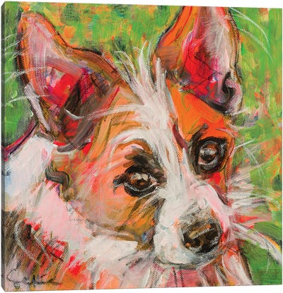 Chihuahua X Jack Russell Portrait Canvas Art Print - Jack Russell Terrier Art