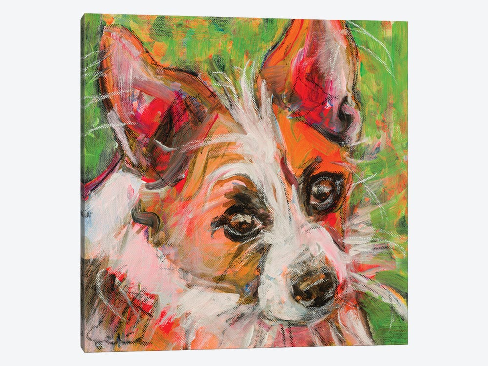 Chihuahua X Jack Russell Portrait by Liesbeth Serlie 1-piece Art Print