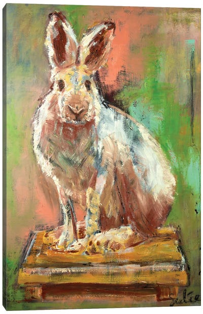 Rabbit On A Yellow Little Table Canvas Art Print - Liesbeth Serlie