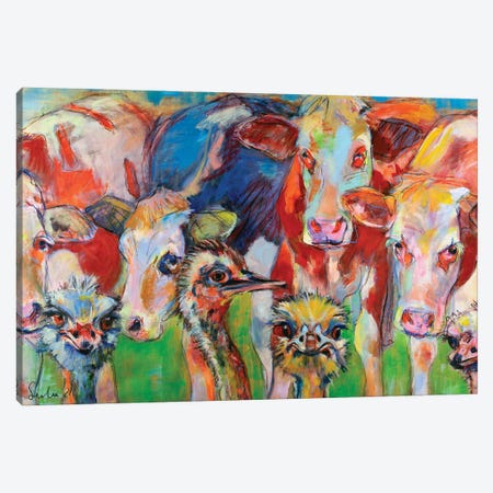 Cows And Ostriches Canvas Print #LSR53} by Liesbeth Serlie Canvas Wall Art