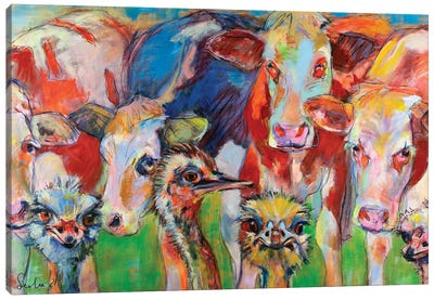 Cows And Ostriches Canvas Art Print - Ostrich Art