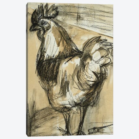 Chicken - Rooster Iii Canvas Print #LSR54} by Liesbeth Serlie Art Print