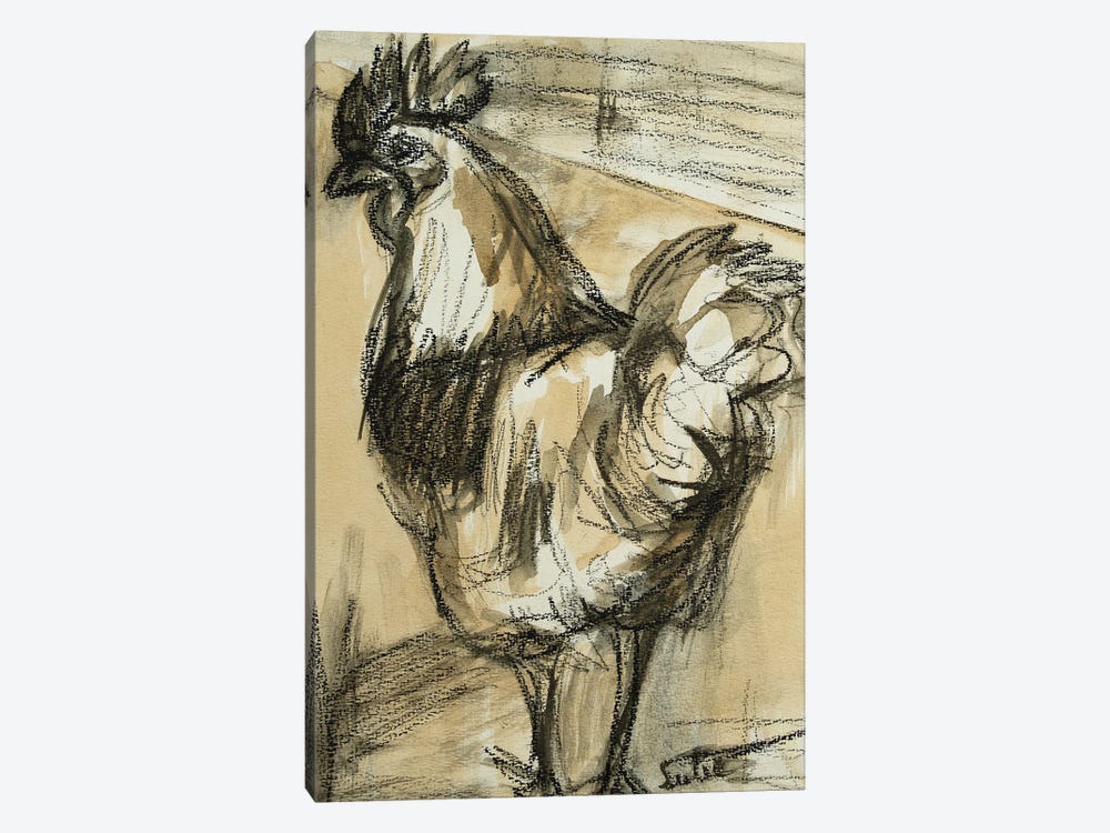 Chicken - Rooster Iii by Liesbeth Serlie 1-piece Canvas Print