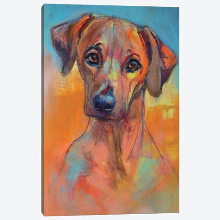 Rhodesian Ridgeback Puppy Canvas Print #LSR56} by Liesbeth Serlie Art Print