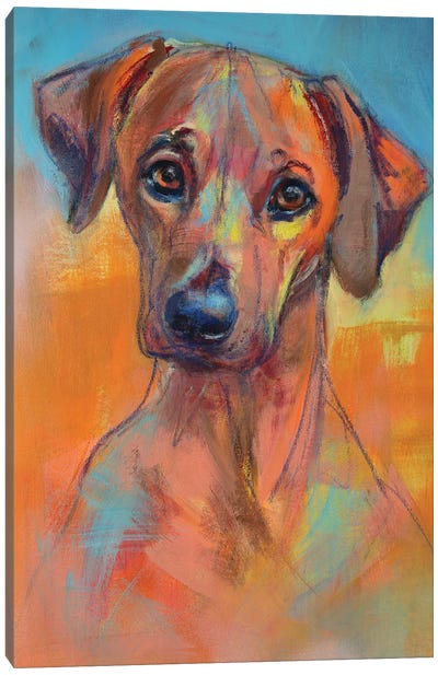 Rhodesian Ridgeback Puppy Canvas Art Print - Liesbeth Serlie