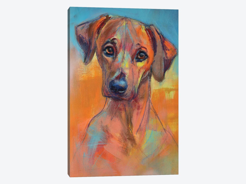 Rhodesian Ridgeback Puppy by Liesbeth Serlie 1-piece Canvas Art Print