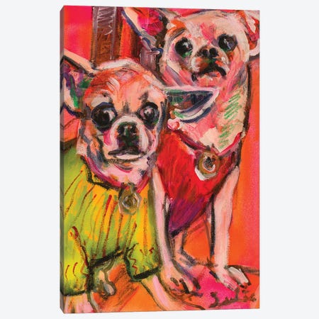 Chihuahuas Canvas Print #LSR5} by Liesbeth Serlie Canvas Artwork