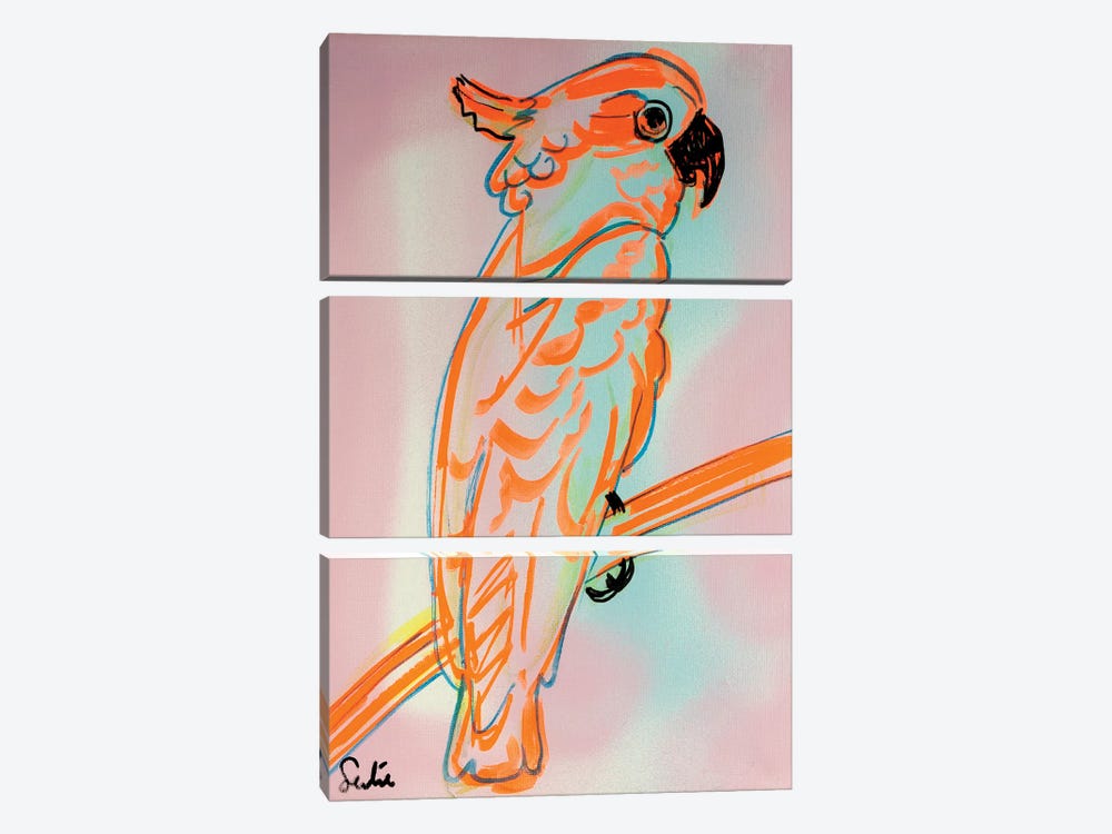 Kaketoe, Oranje by Liesbeth Serlie 3-piece Canvas Wall Art