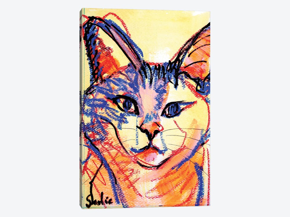 Sketch Of A Cat VII by Liesbeth Serlie 1-piece Canvas Art
