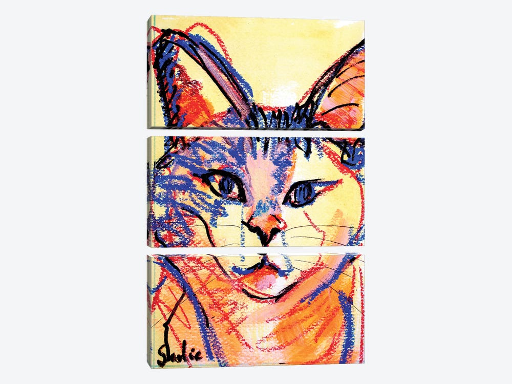 Sketch Of A Cat VII by Liesbeth Serlie 3-piece Canvas Artwork