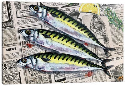 Fresh Mackerel Canvas Art Print - Seafood Art