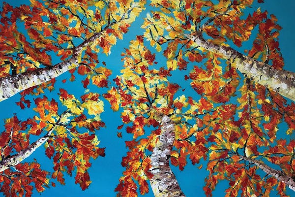 Birch Trees: Fall Symphony II by Lena Smirnova