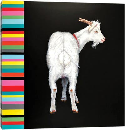 Scapegoat Canvas Art Print - Goat Art