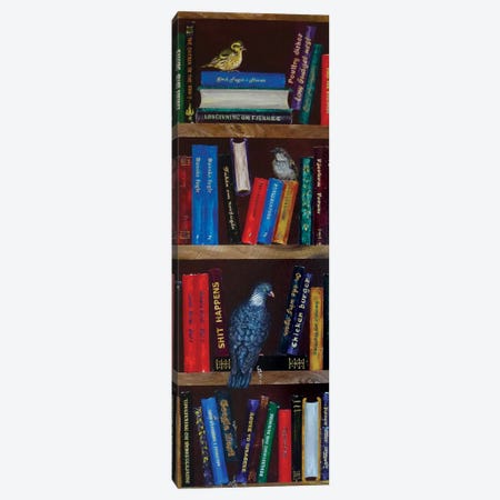 Bookshelf With A Dove Canvas Print #LSV18} by Lena Smirnova Canvas Wall Art