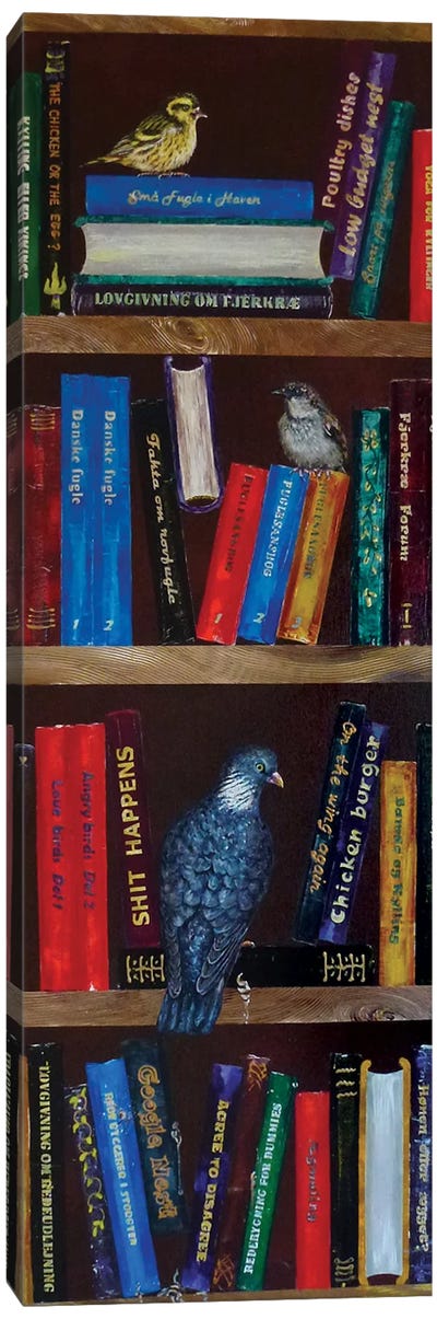 Bookshelf With A Dove Canvas Art Print - Lena Smirnova