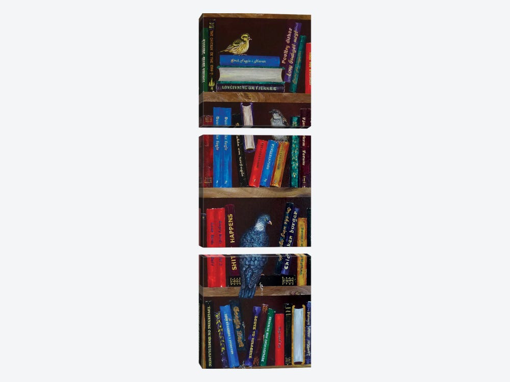 Bookshelf With A Dove by Lena Smirnova 3-piece Canvas Art