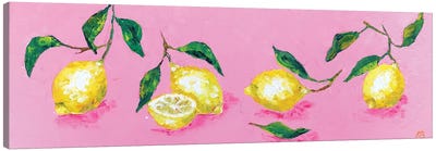 4 And Half Lemons Canvas Art Print - Lena Smirnova