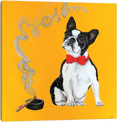 Boston Canvas Art Print - Boston Terrier Art