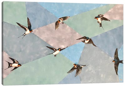 Free As A Bird Canvas Art Print - Lena Smirnova