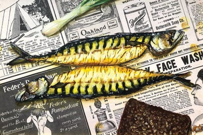 Mackerel