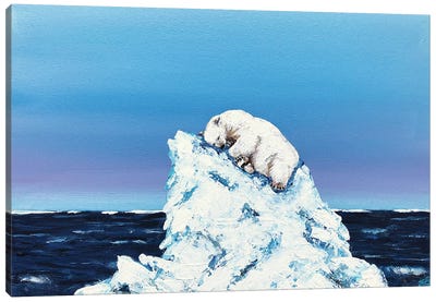 Winter Dreams Canvas Art Print - Polar Bear Art