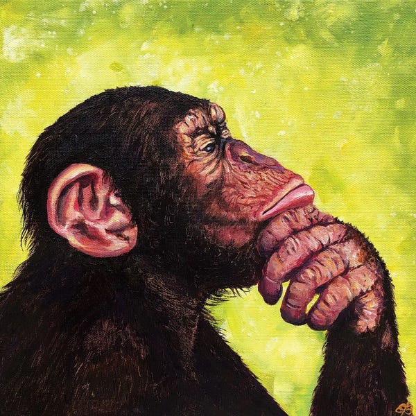 Primates: The Thinker by Lena Smirnova