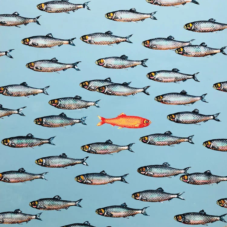 Red Herring
