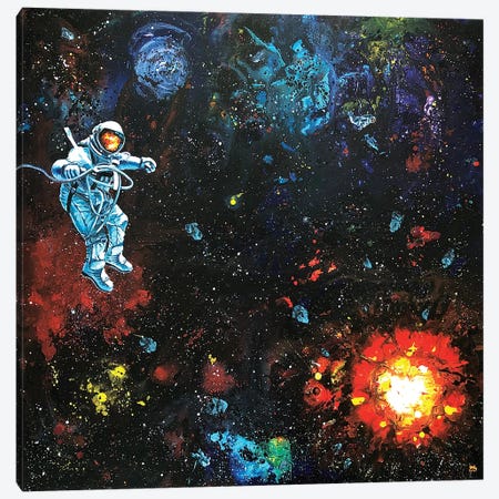 Cosmos XII Canvas Print #LSV28} by Lena Smirnova Art Print