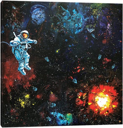 Cosmos XII Canvas Art Print - Lena Smirnova
