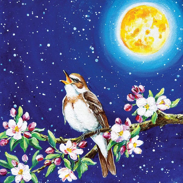 Nightingale