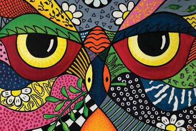 Owl by Lena Smirnova acrylic art print