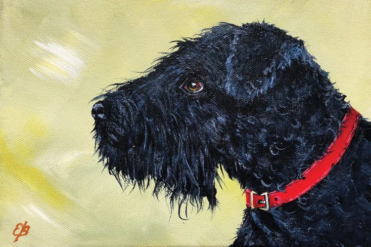 Charlie by Lena Smirnova wall art