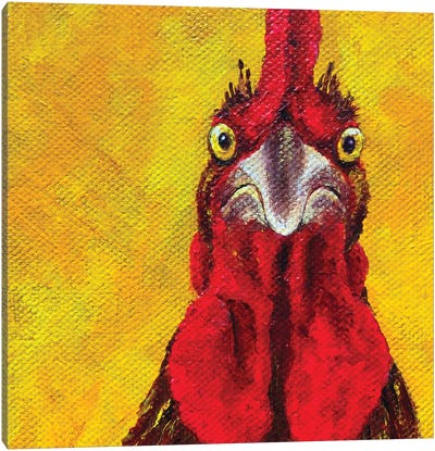I Am Mad Canvas Art Print - Chicken & Rooster Art