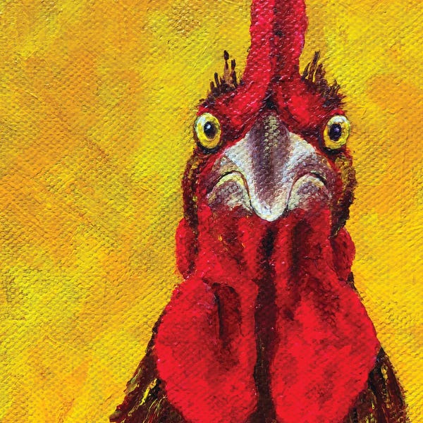 Chickens & Roosters: I Am Mad by Lena Smirnova